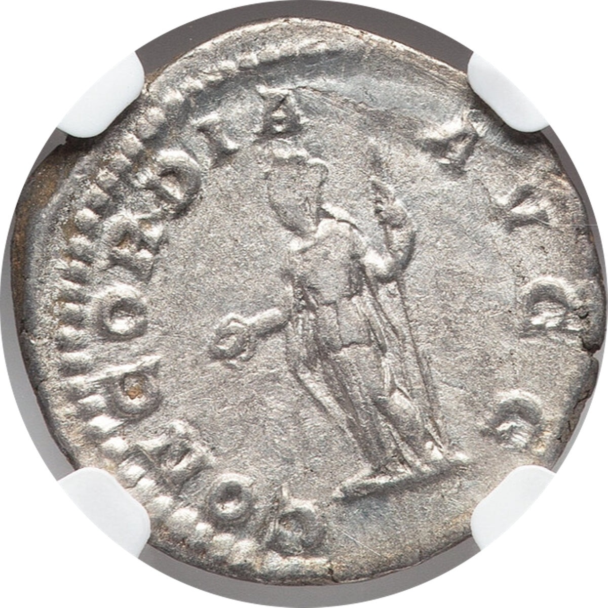 Roman Empire - Plautilla - Silver Denarius - NGC VF