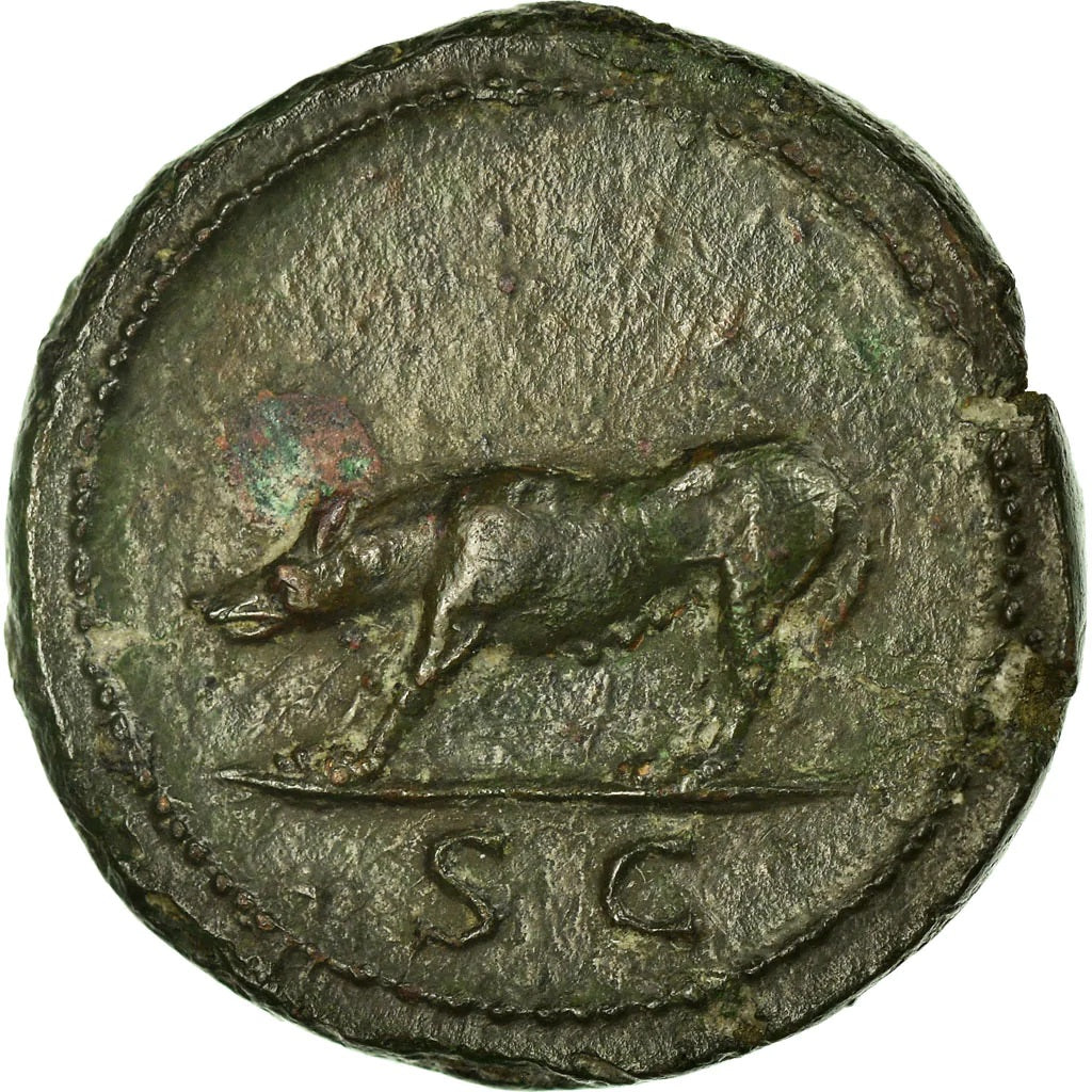 Roman Empire - Trajan - AE Quadrans - NGC AU