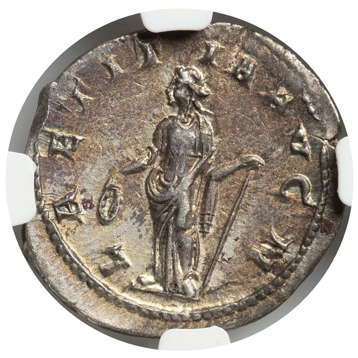 Roman Empire - Gordian III - Silver Double-Denarius - NGC AU