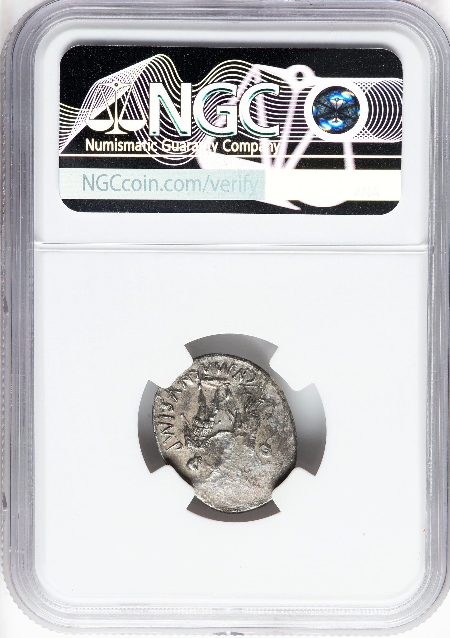 Roman Imperatorial - Pompey Junior - Silver Denarius - NGC XF - Crawf. 469/1a
