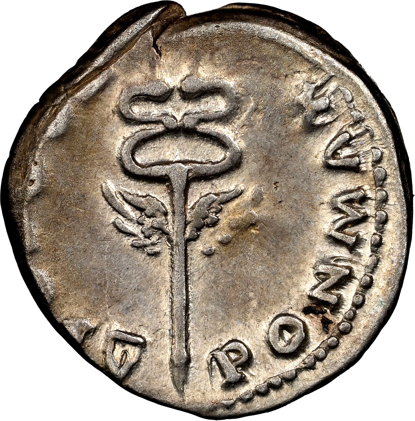 Roman Empire - Vespasian - Silver Denarius - NGC VF- RIC:684