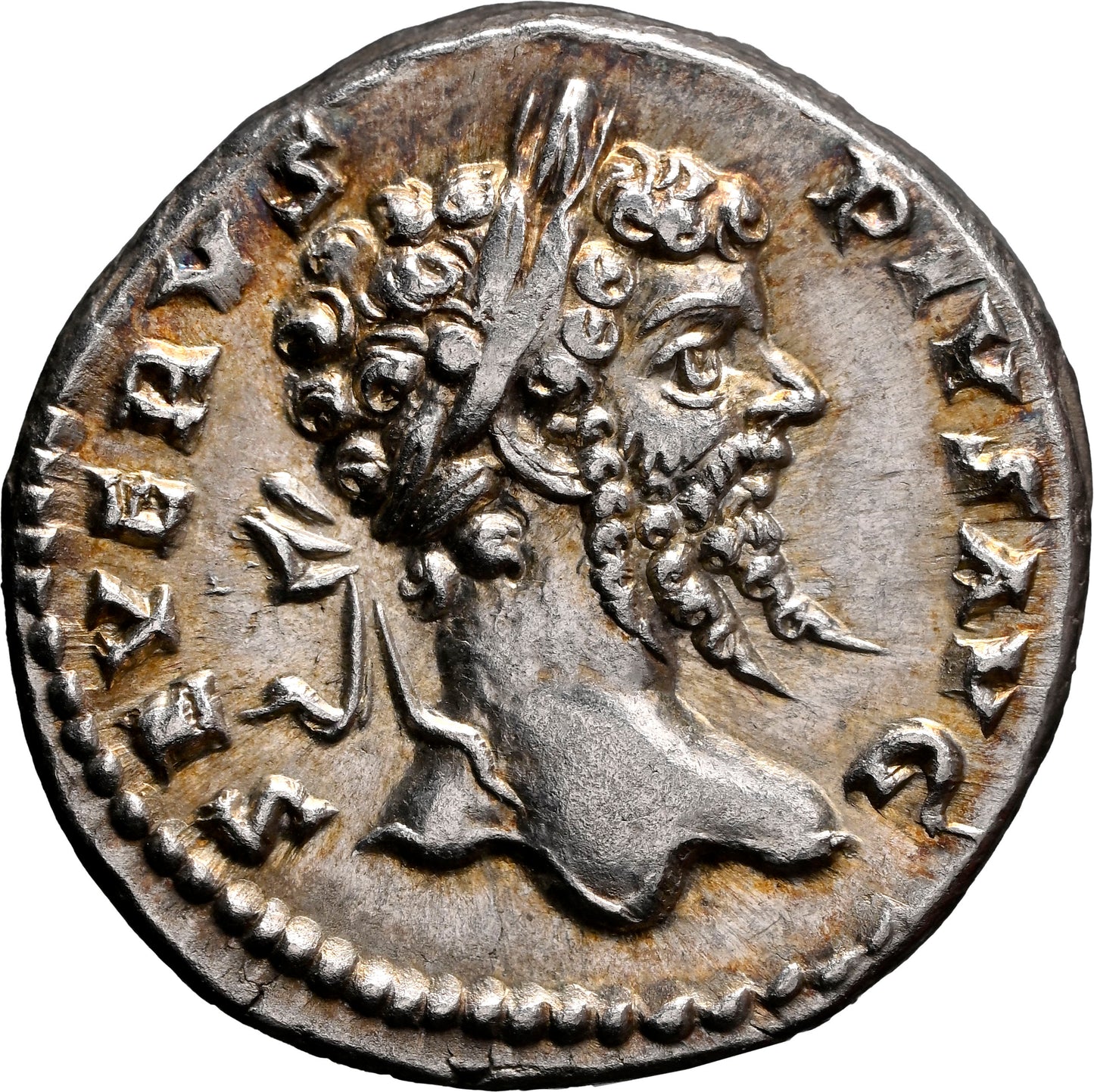 Roman Empire - Septimius Severus - Silver Denarius - NGC AU - RIC:176