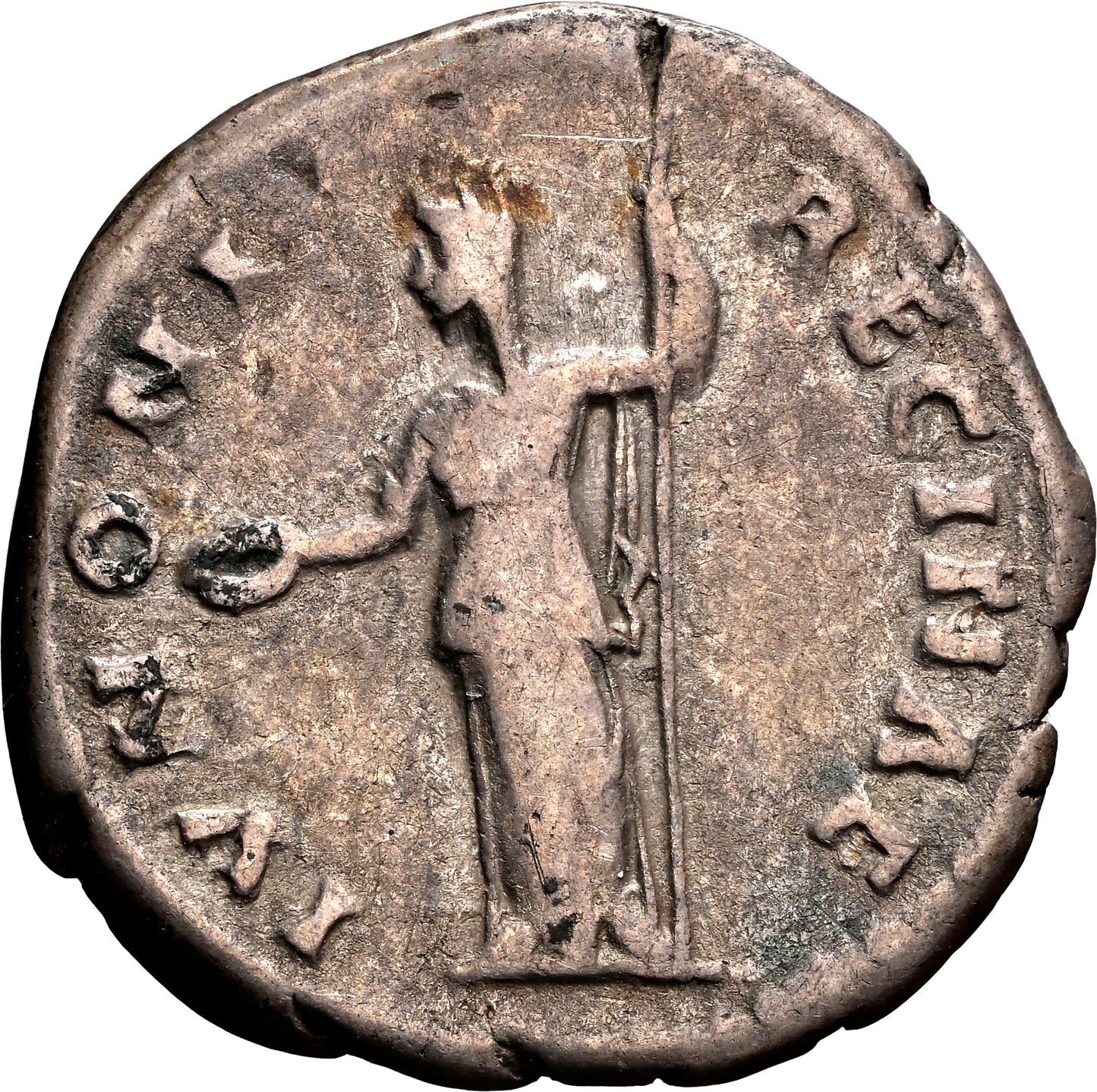 Roman Empire - Sabina - Silver Denarius - NGC F