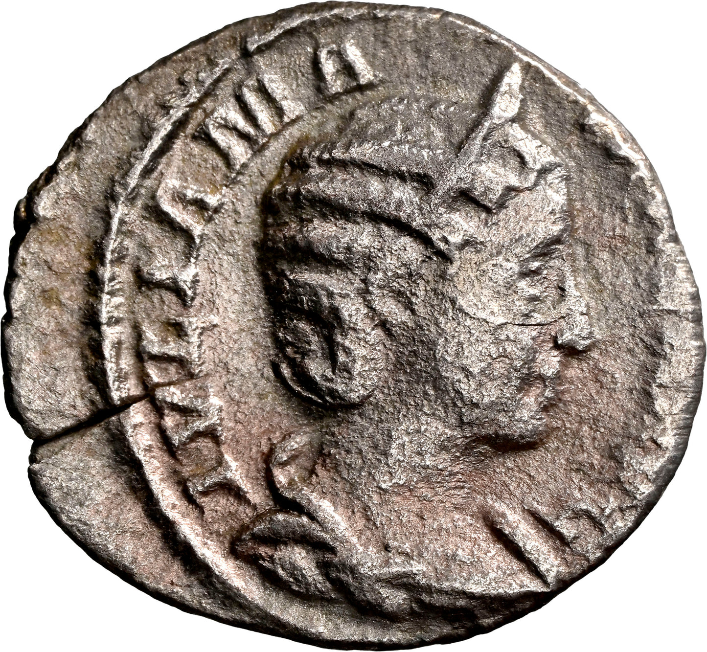 Roman Empire - Julia Mamaea - Silver Denarius - NGC VF