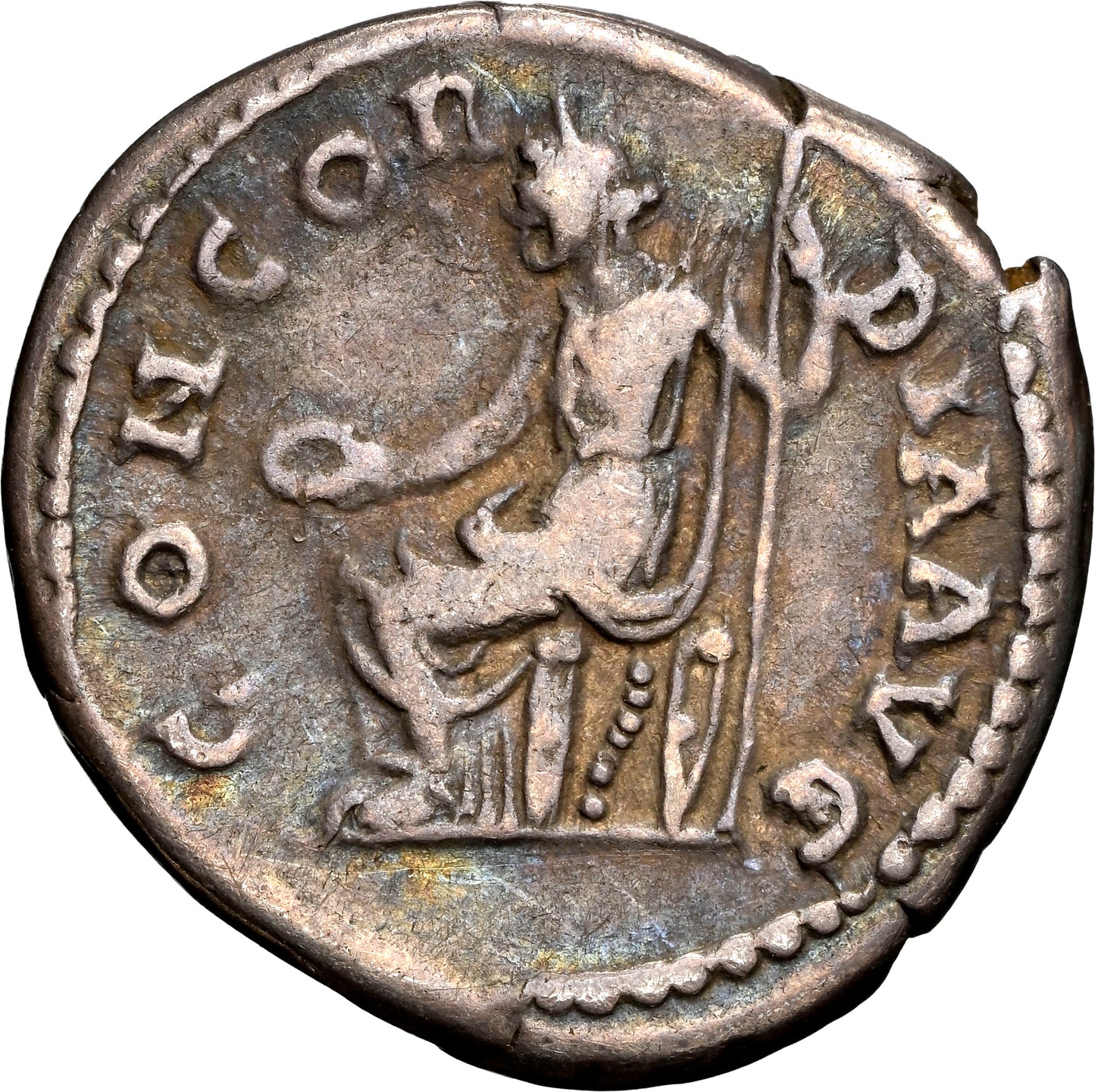 Roman Empire - Sabina - Silver Denarius - NGC F - RIC:391