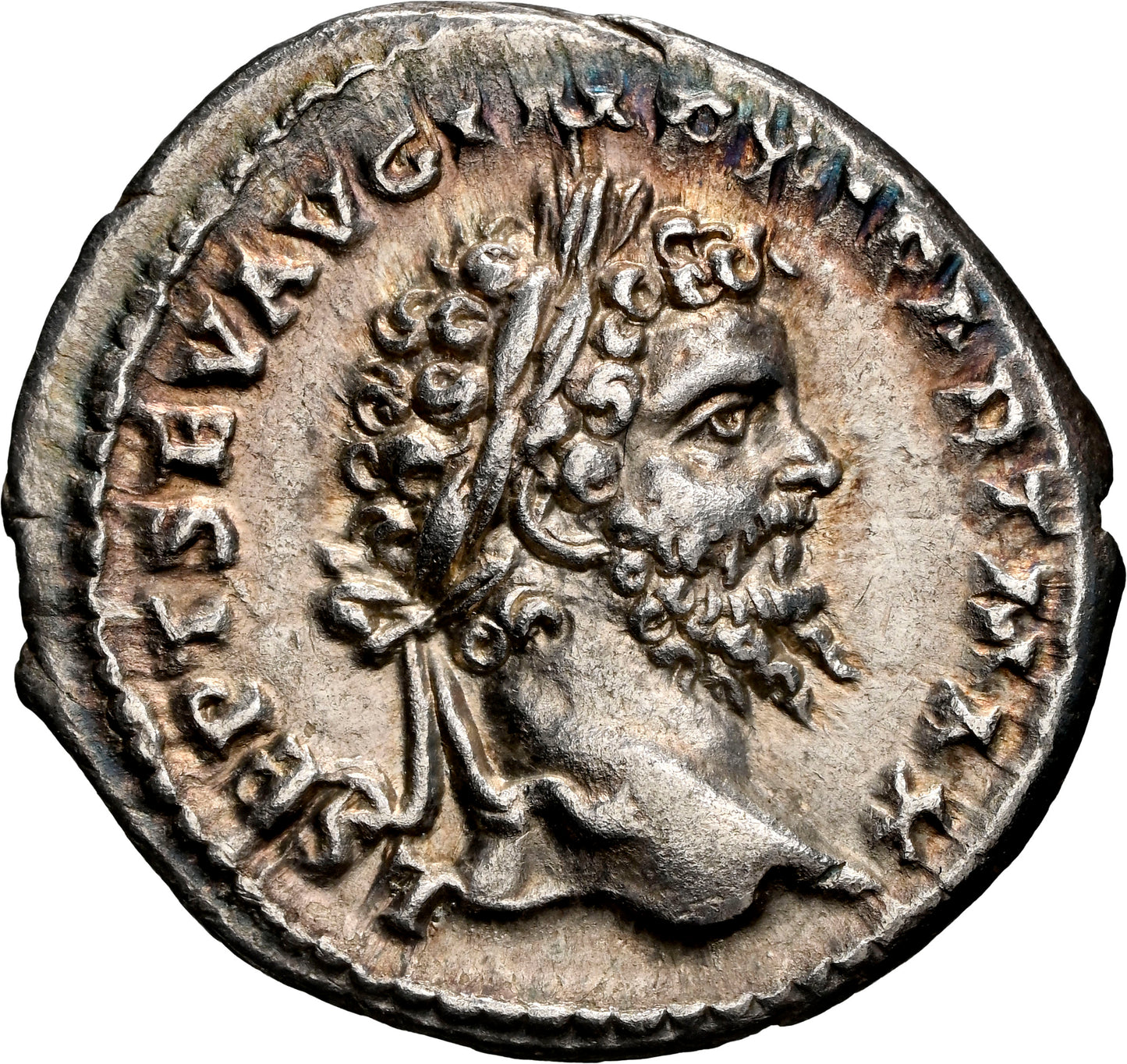 Roman Empire - Septimius Severus - Silver Denarius - NGC Ch XF - RIC:502b