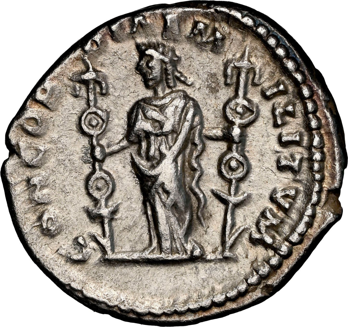 Roman Empire - Septimius Severus - Silver Denarius - NGC Ch XF - RIC:502b