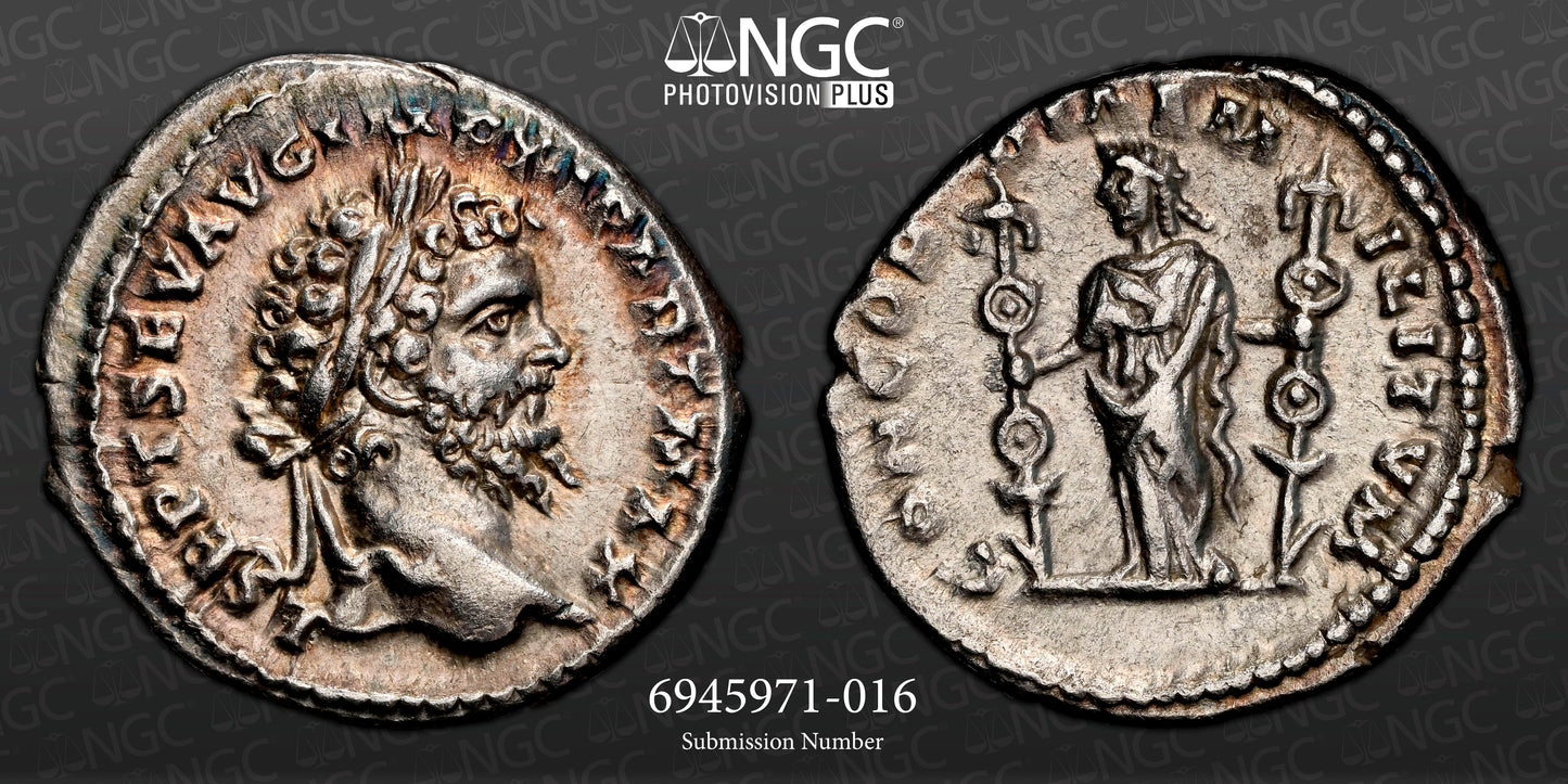 Roman Empire - Septimius Severus - Silver Denarius - NGC Ch XF - RIC:502b