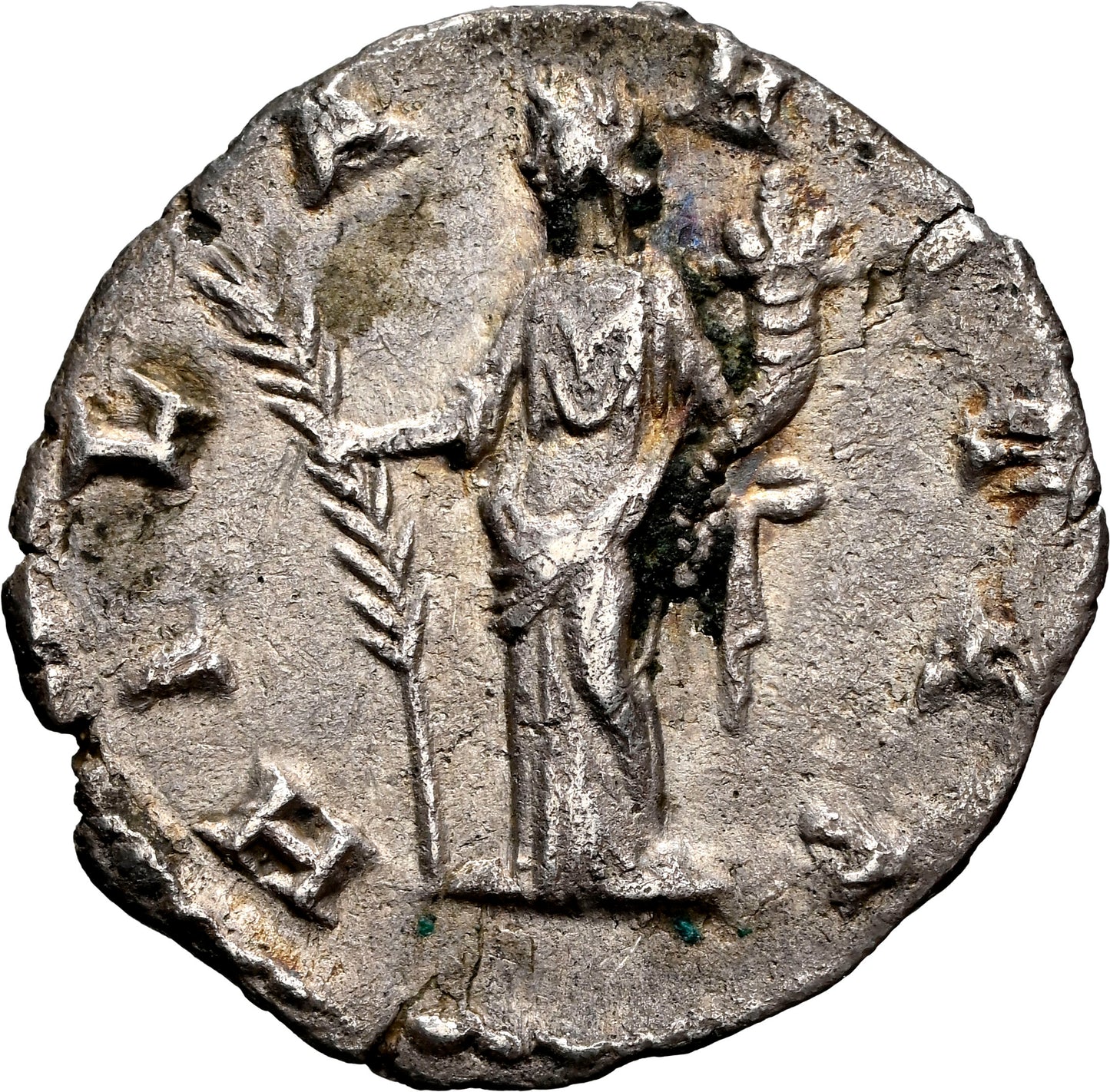 Roman Empire - Lucilla - Silver Denarius - NGC Ch VF