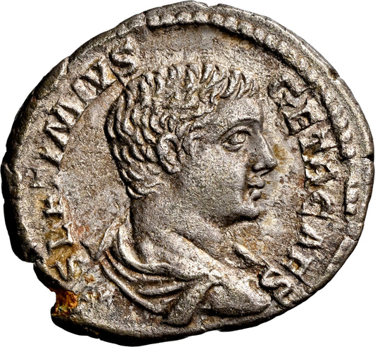 Roman Empire - Geta - Silver Denarius - NGC Ch XF - RIC:34b