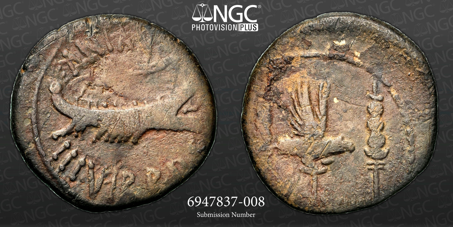 Roman Imperatorial - Marc Antony - Silver Denarius - NGC VG - Crawf. 544/28