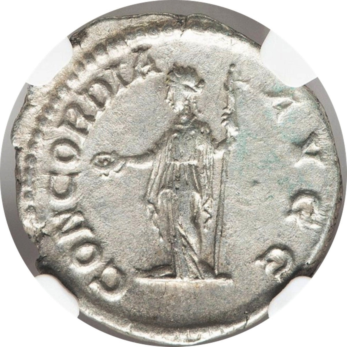 Roman Empire - Plautilla - Silver Denarius - NGC XF