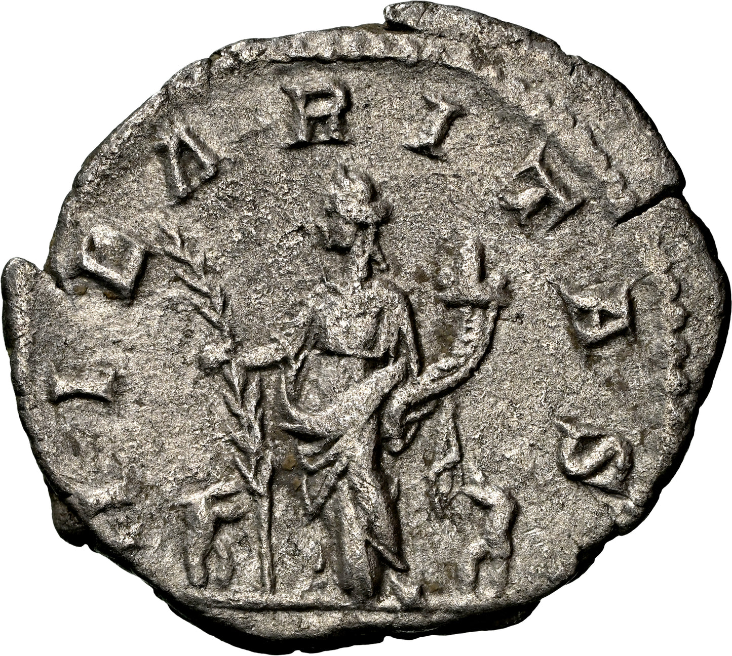 Roman Empire - Julia Domna - Silver Denarius - NGC Ch VF - RIC:559