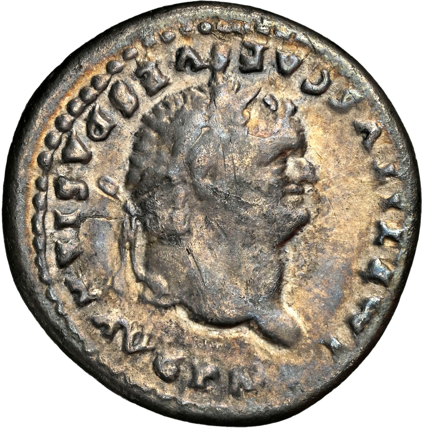 Roman Empire - Titus - Silver Denarius - NGC Ch F - RIC:124