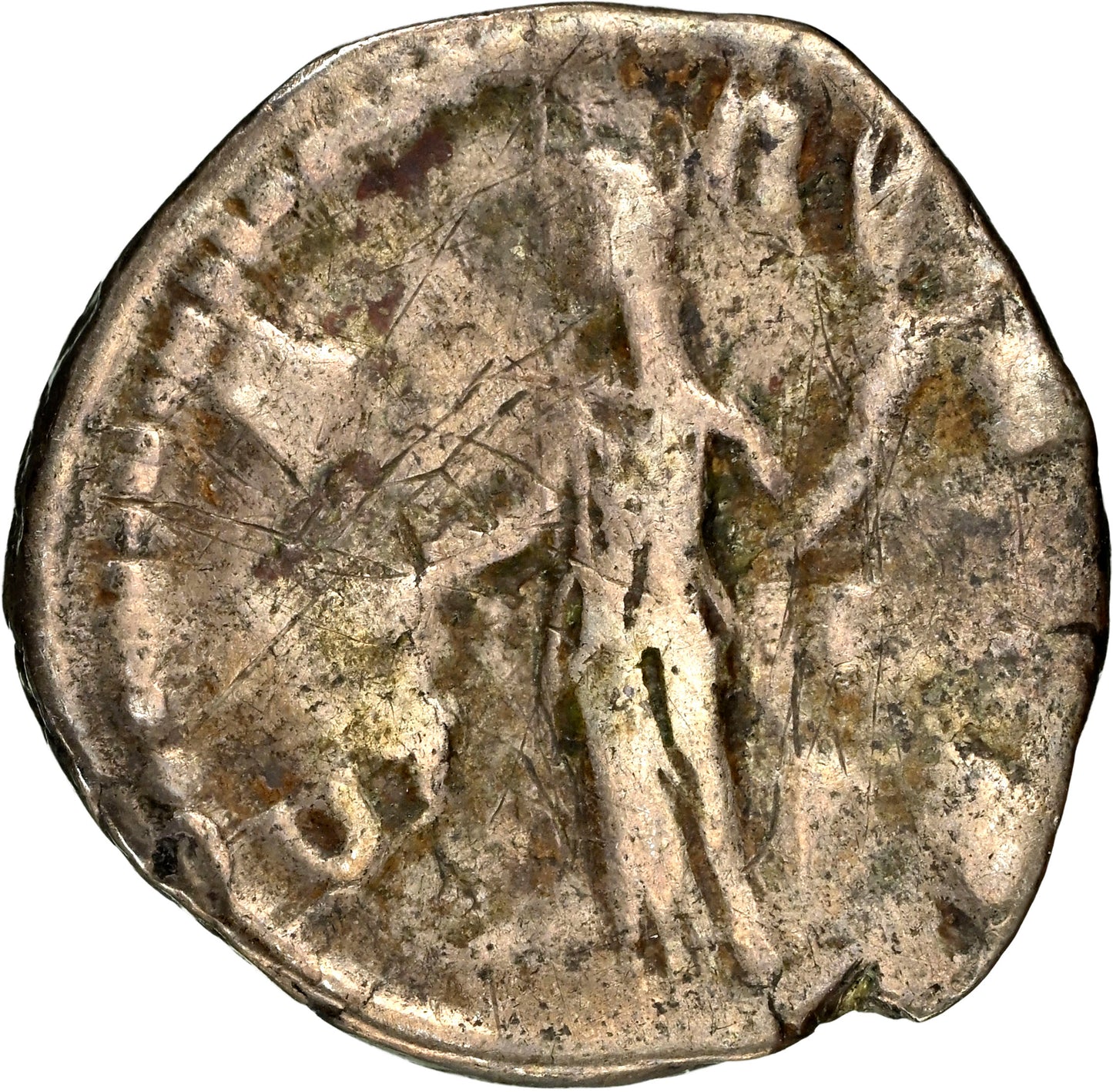 Roman Empire - Crispina - Silver Denarius - NGC F