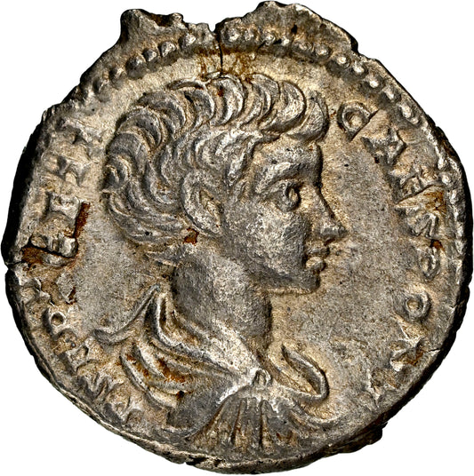 Roman Empire - Geta - Silver Denarius - NGC XF - RIC:20b
