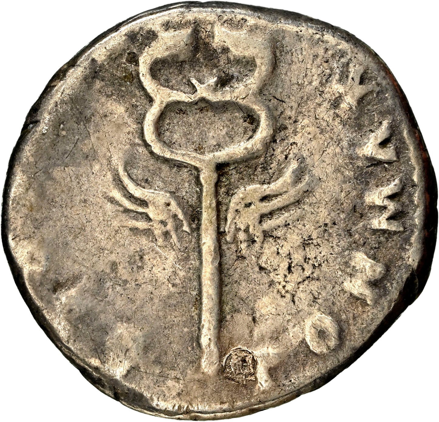 Roman Empire - Vespasian - Silver Denarius - NGC F - RIC:703
