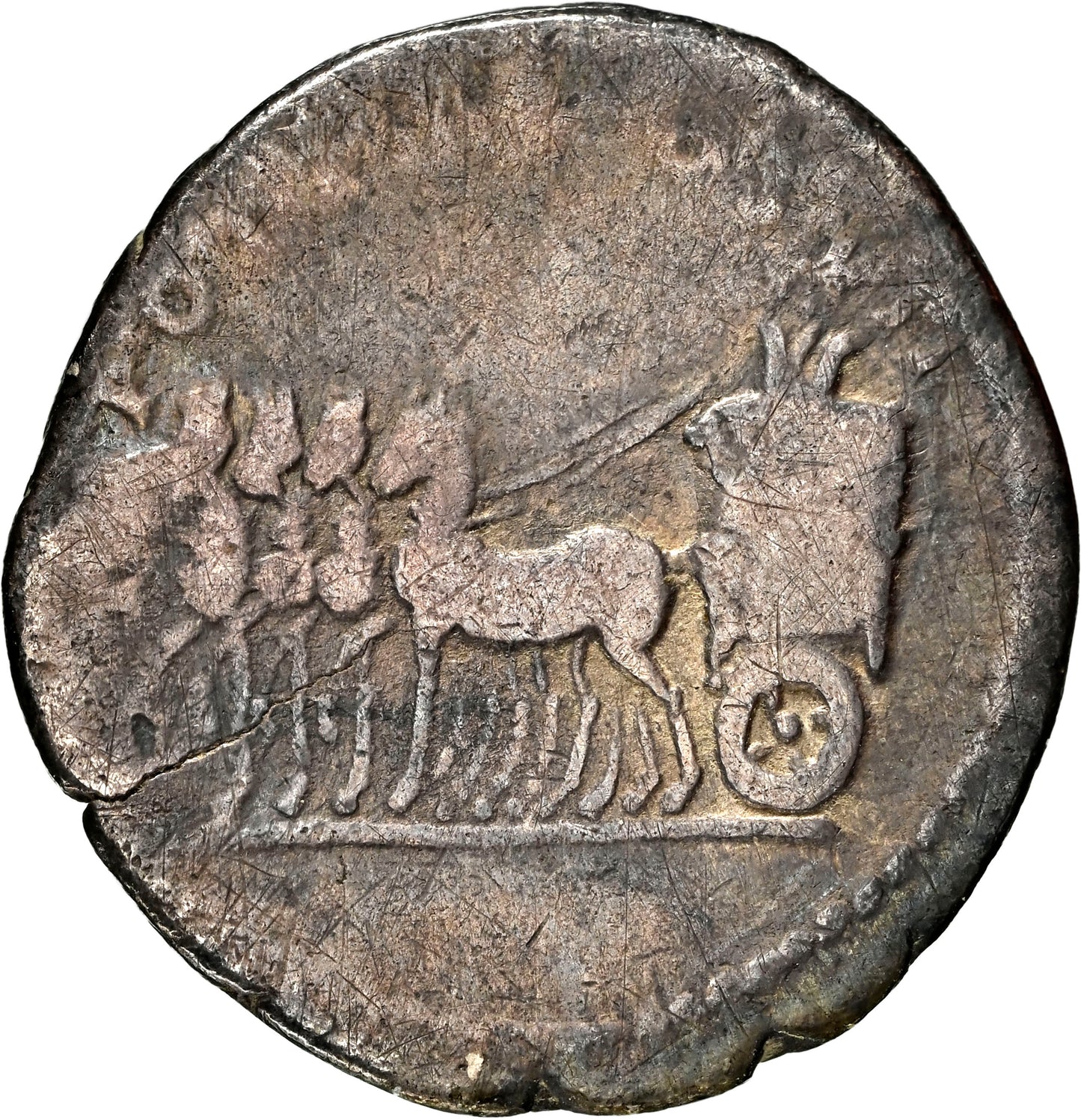 Roman Empire - Titus - Silver Denarius - NGC Ch F - RIC:1073