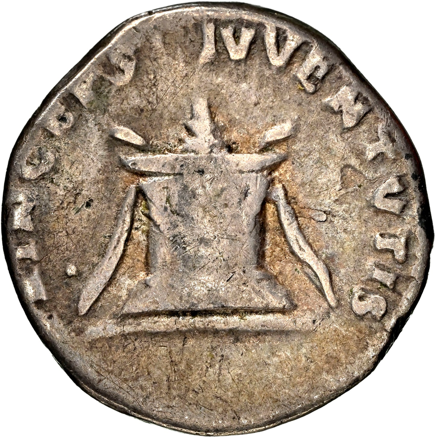 Roman Empire - Domitian - Silver Denarius - NGC Ch F - RIC:266