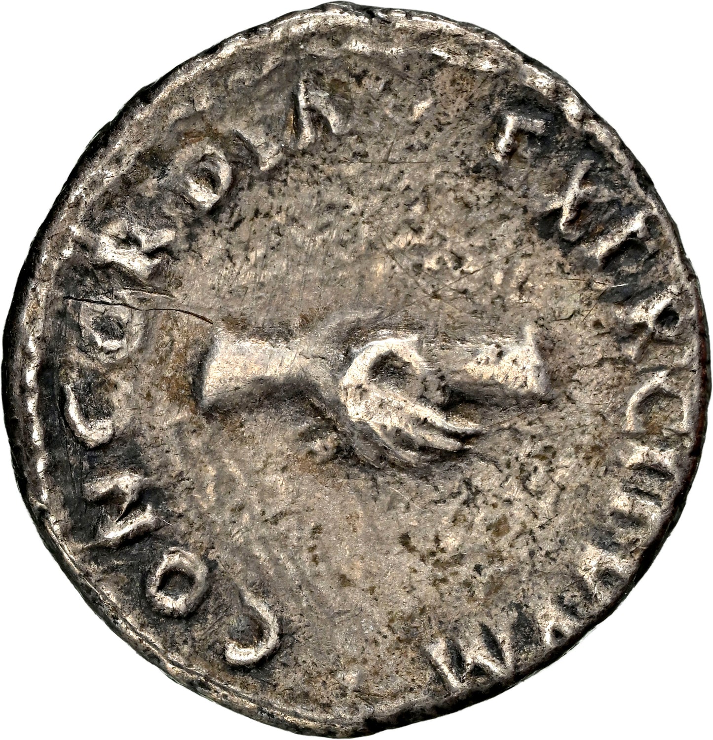Roman Empire - Nerva - Silver Denarius - NGC Ch VF - RIC:2