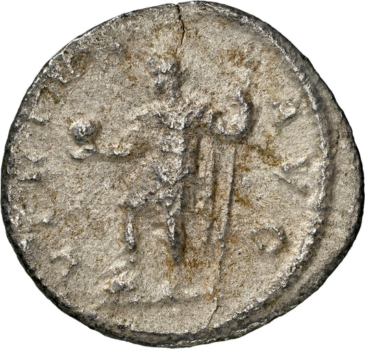 Roman Empire - Severus Alexander - Silver Denarius - NGC VF