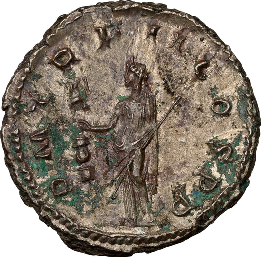 Roman Empire - Gordian III - Silver Double-Denarius - NGC AU