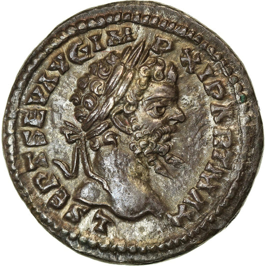Roman Empire - Septimius Severus - Silver Denarius - NGC Ch AU - RIC:503