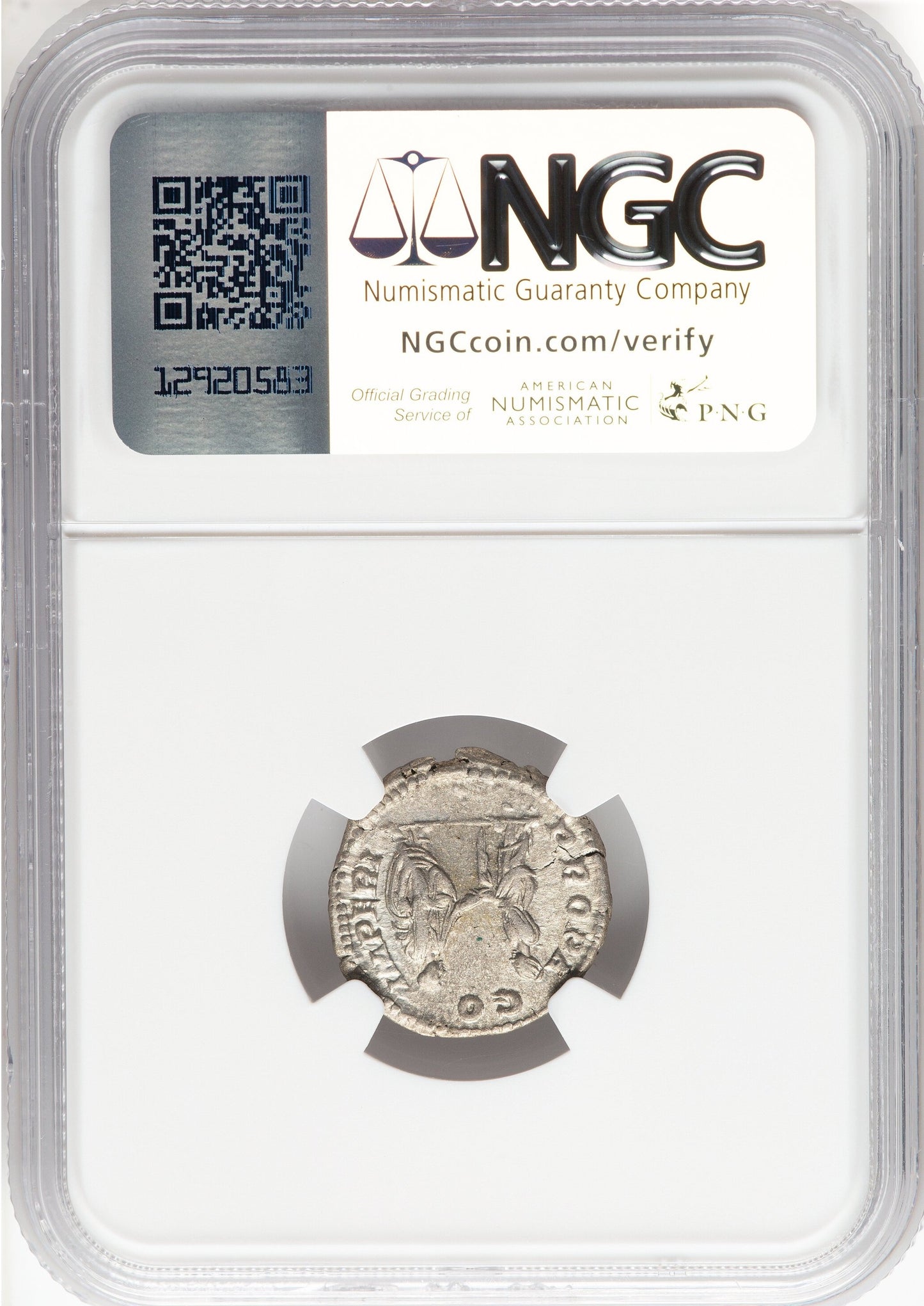 Roman Empire - Plautilla - Silver Denarius - NGC Ch XF