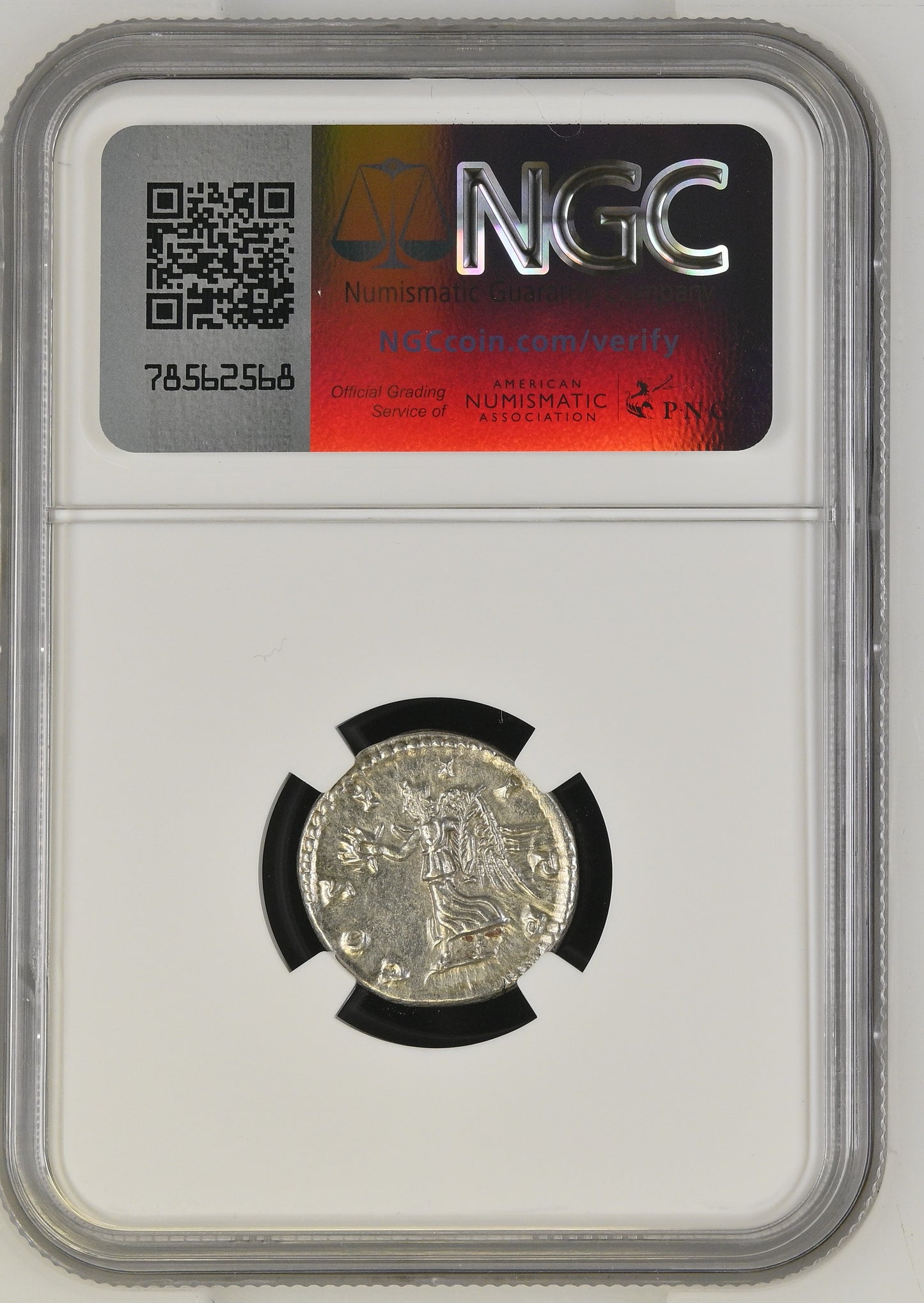 Roman Empire - Septimius Severus - Silver Denarius - NGC AU - RIC:176