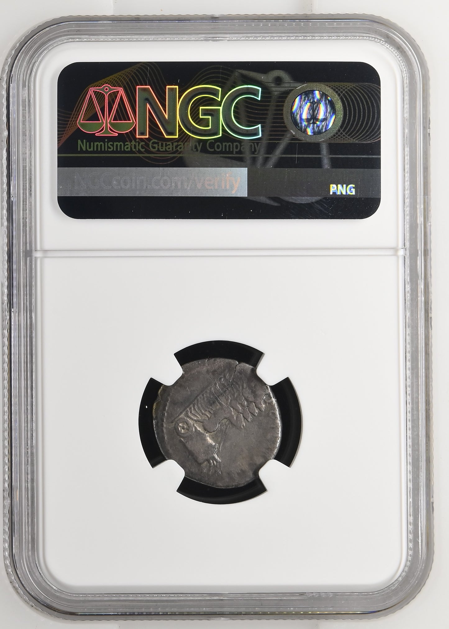 Roman Empire - Titus - Silver Denarius - NGC Ch F - RIC:1073