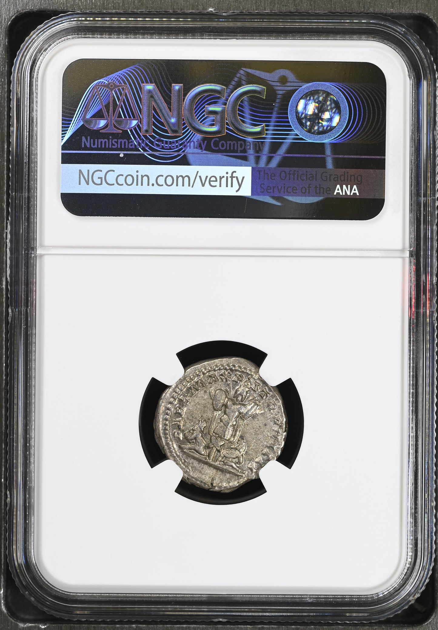 Roman Empire - Septimius Severus - Silver Denarius - NGC XF