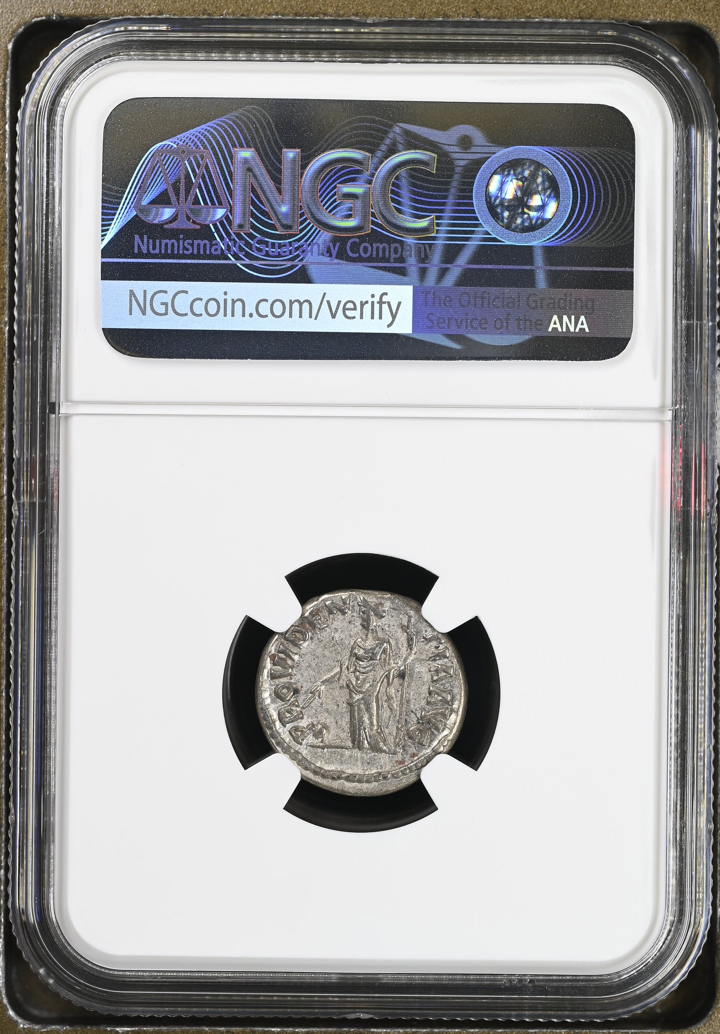 Roman Empire - Septimius Severus - Silver Denarius - NGC XF