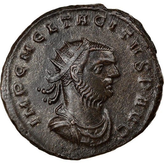 Roman Empire - Tacitus - Billon Aurelianianus - NGC AU - RIC:133