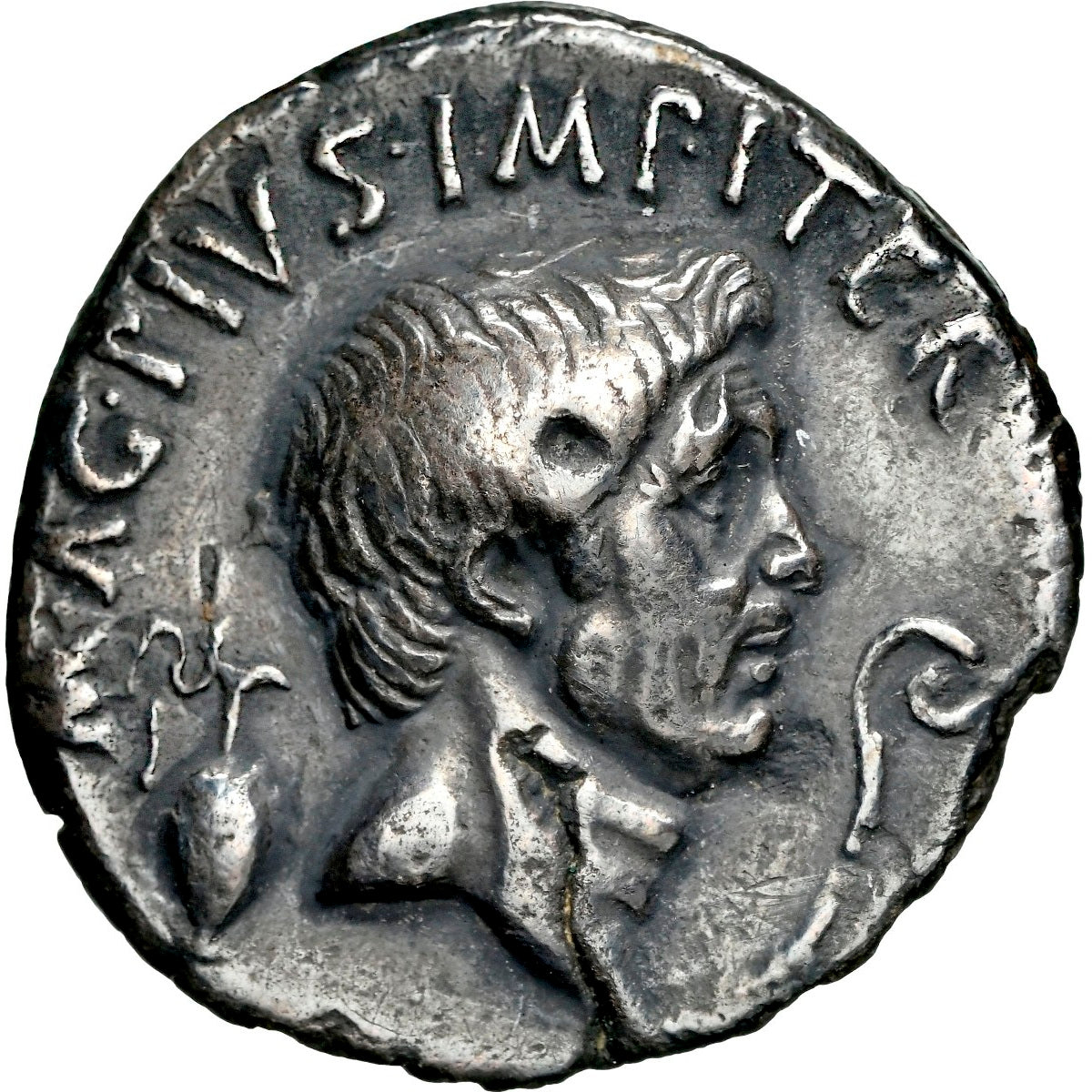 Pompey Magnus
