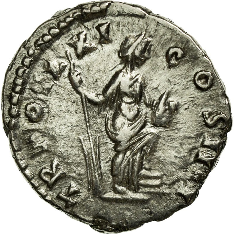Roman Empire - Antoninus Pius - Silver Denarius - NGC Ch XF - Cohen:1016