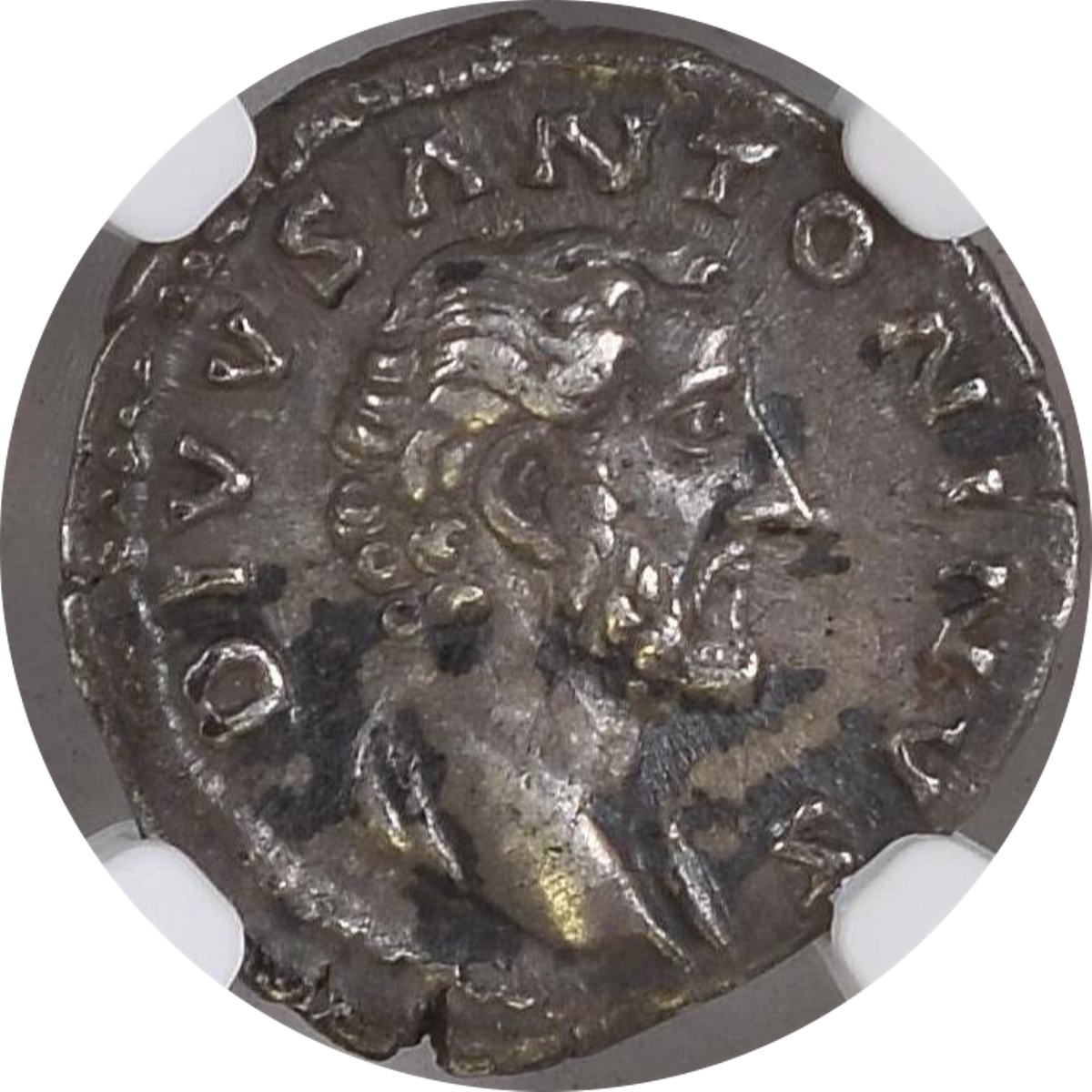 Roman Empire - Antoninus Pius - Silver Denarius - NGC Ch VF