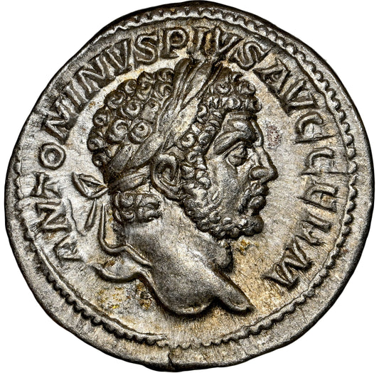 Roman Empire - Caracalla - Silver Denarius - NGC AU