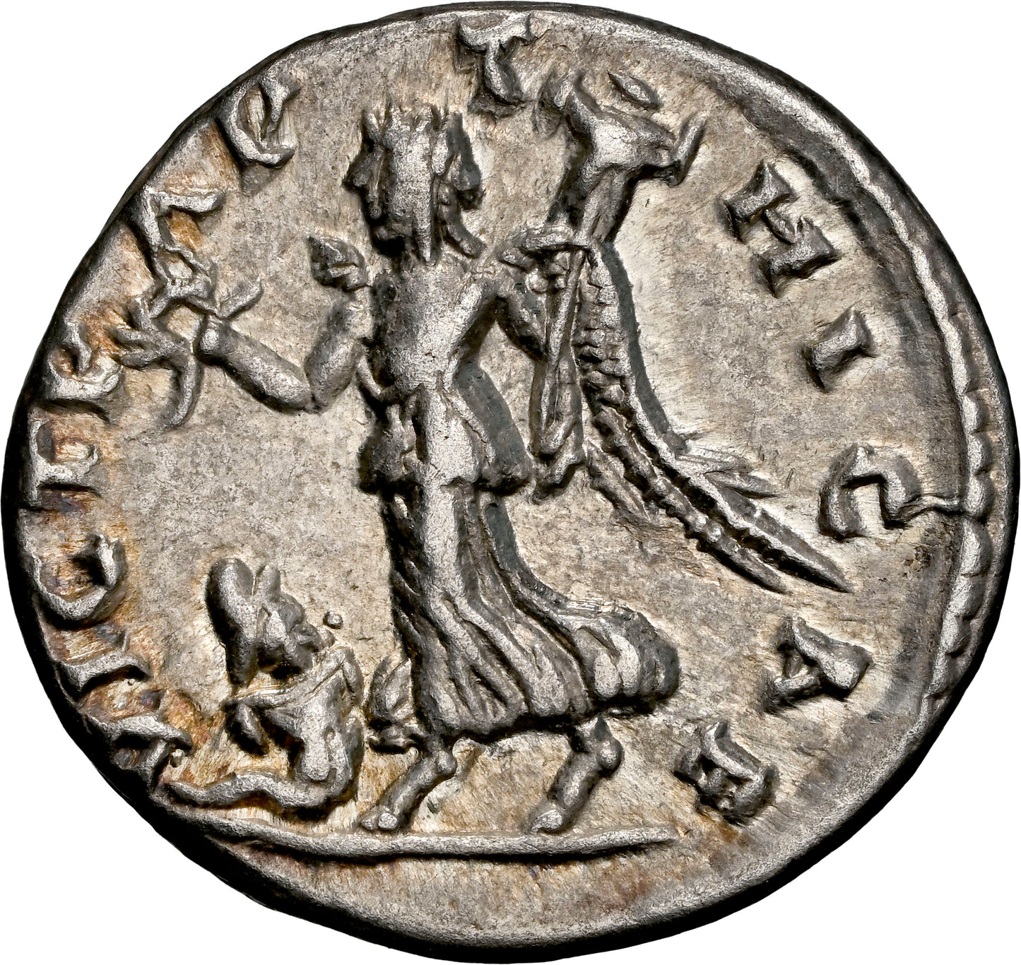 Roman Empire - Septimius Severus - Silver Denarius - NGC XF - RIC:514