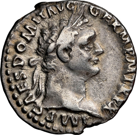 Roman Empire - Domitian - Silver Denarius - NGC VF - RIC:722