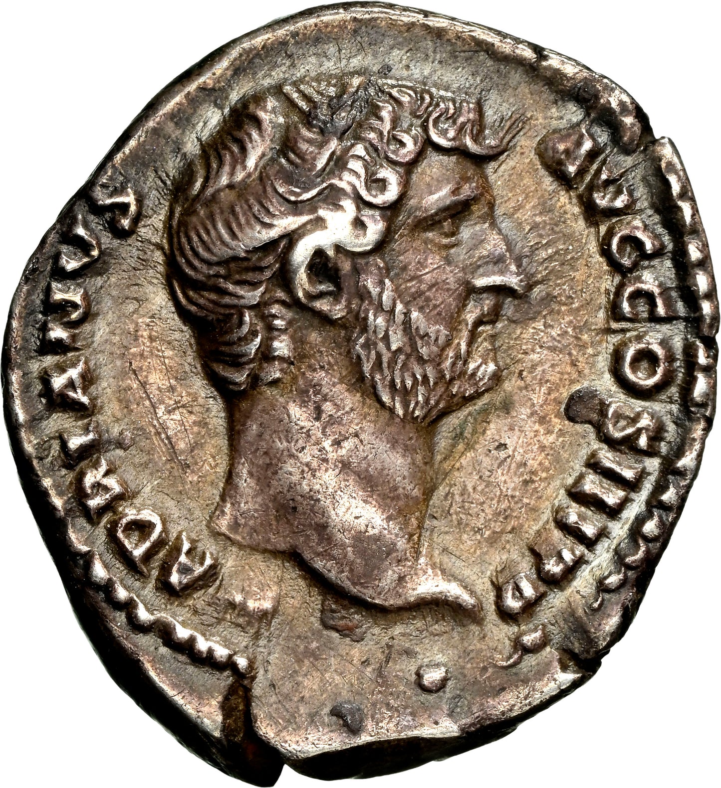 Roman Empire - Hadrian - Silver Denarius - NGC XF - RIC:2318