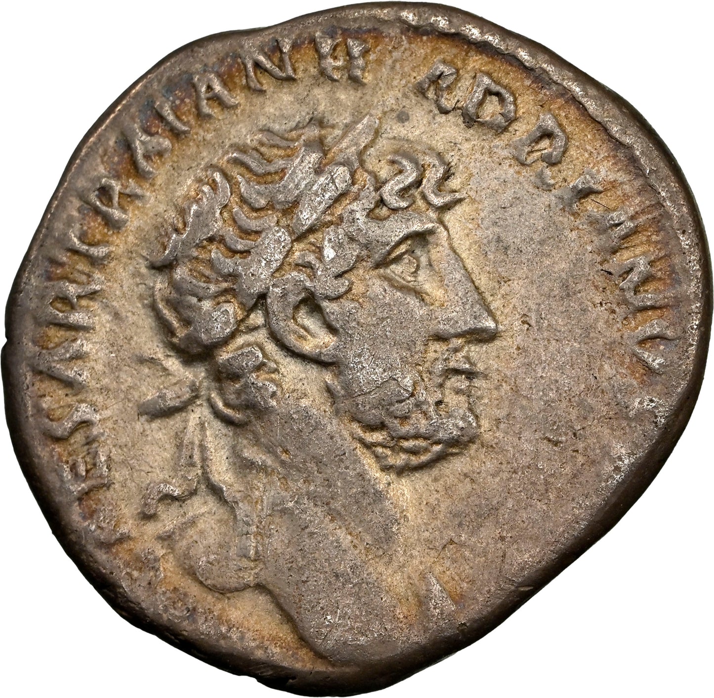 Roman Empire - Hadrian - Silver Denarius - NGC Ch VF - RIC:300