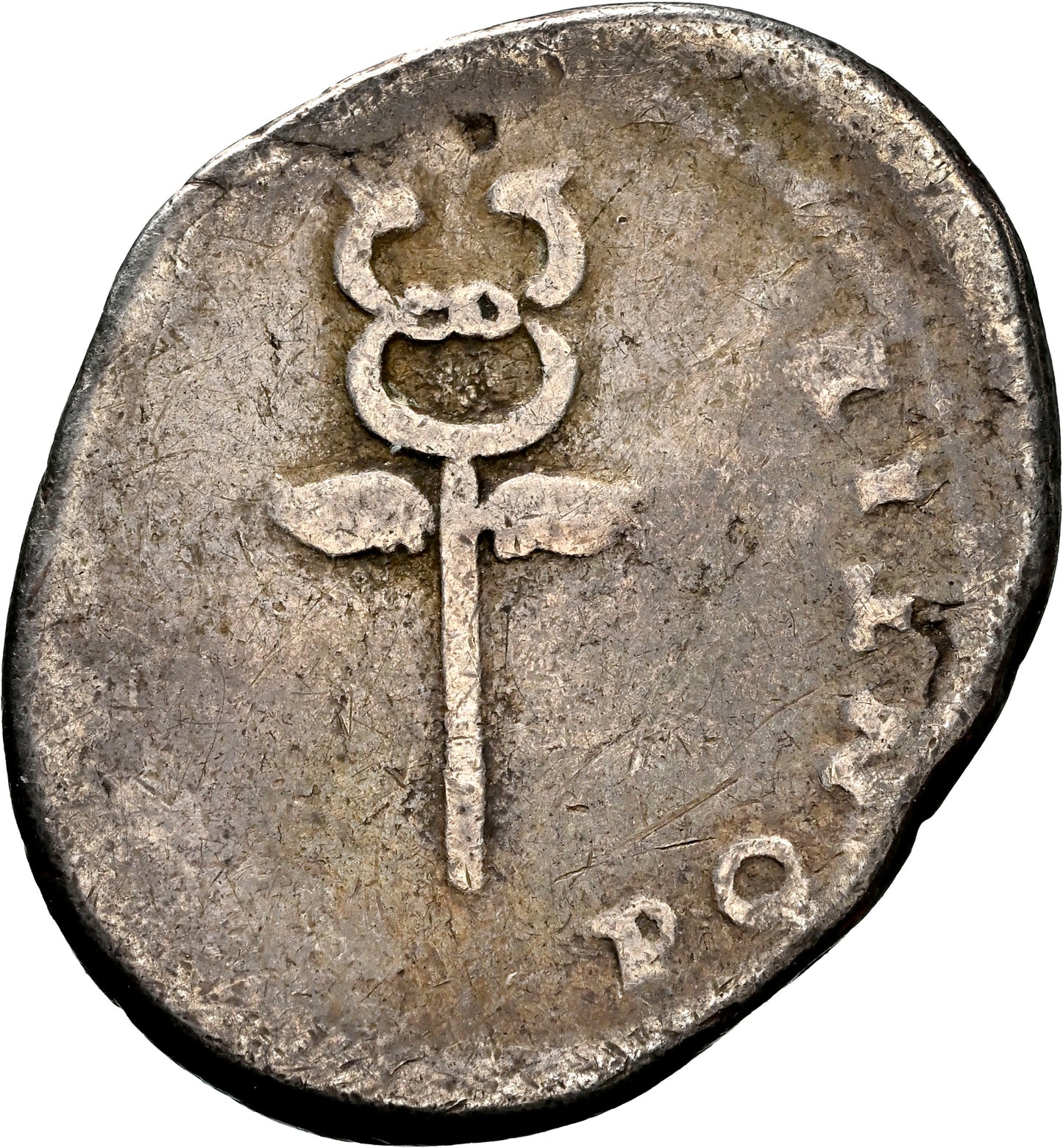 Roman Empire - Titus - Silver Denarius - NGC F - RIC:694