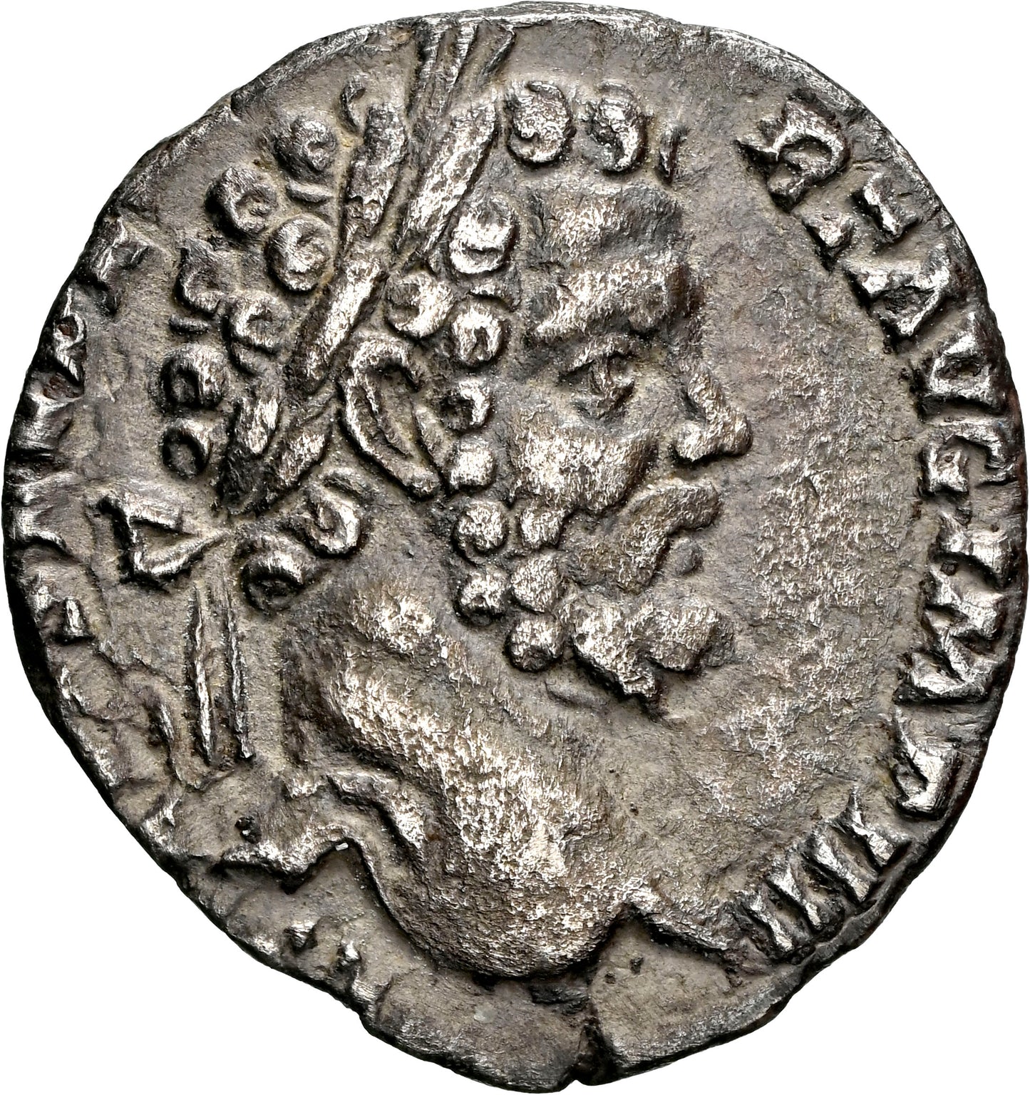 Roman Empire - Septimius Severus - Silver Denarius - NGC XF