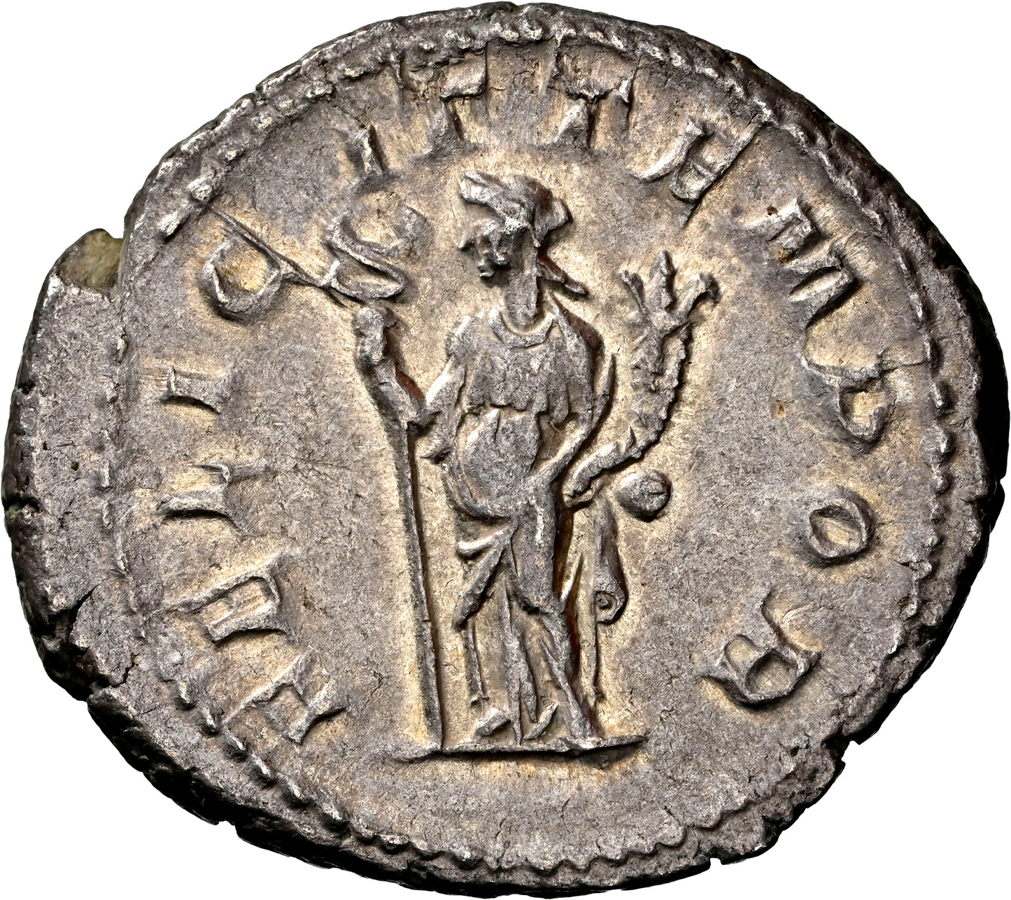 Roman Empire - Gordian III - Silver Double-Denarius - NGC Ch XF - Heavy-Weight Specimen