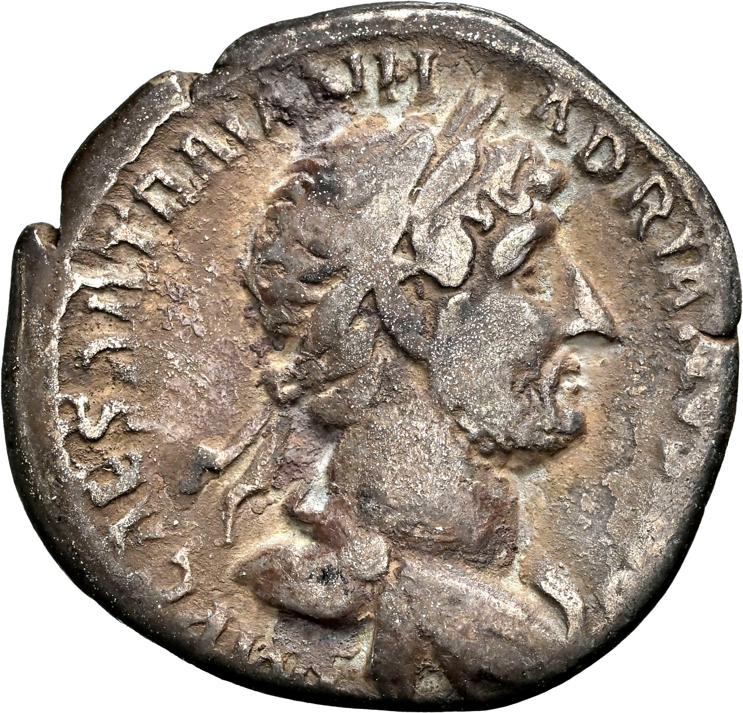 Roman Empire - Hadrian - Silver Denarius - NGC Ch F