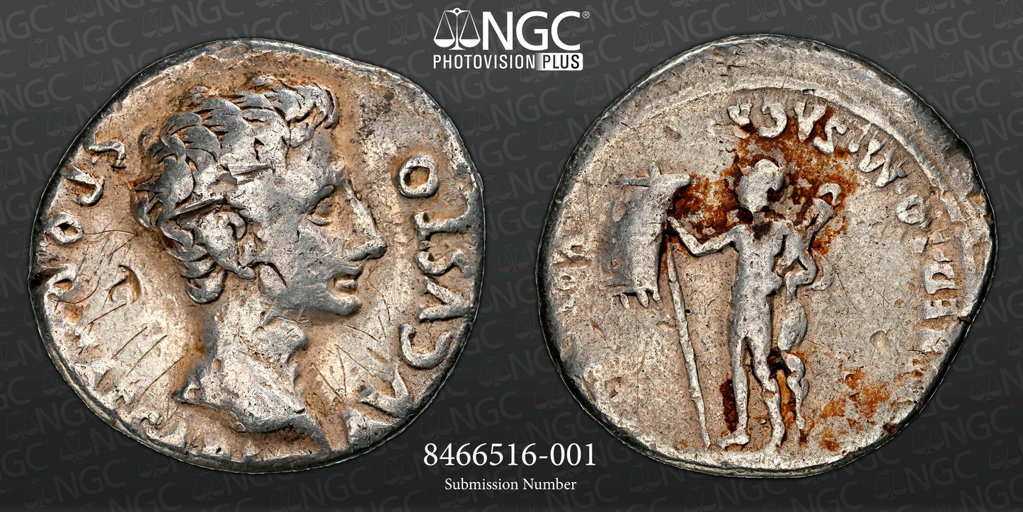 Roman Empire - Augustus - Silver Denarius - NGC F - RIC:150a