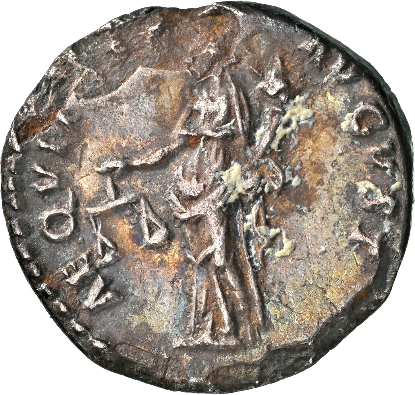 Roman Empire - Nerva - Silver Denarius - NGC XF- RIC:6