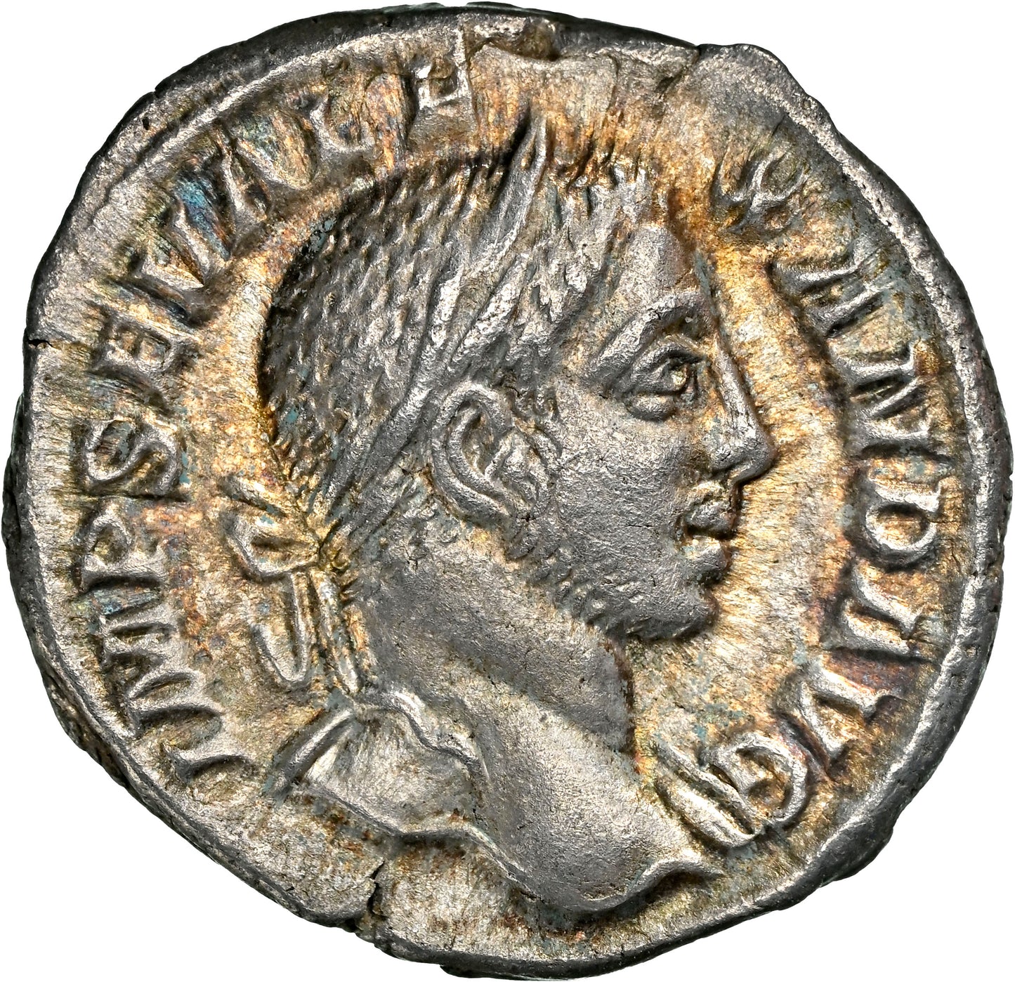 Roman Empire - Severus Alexander - Silver Denarius - NGC XF