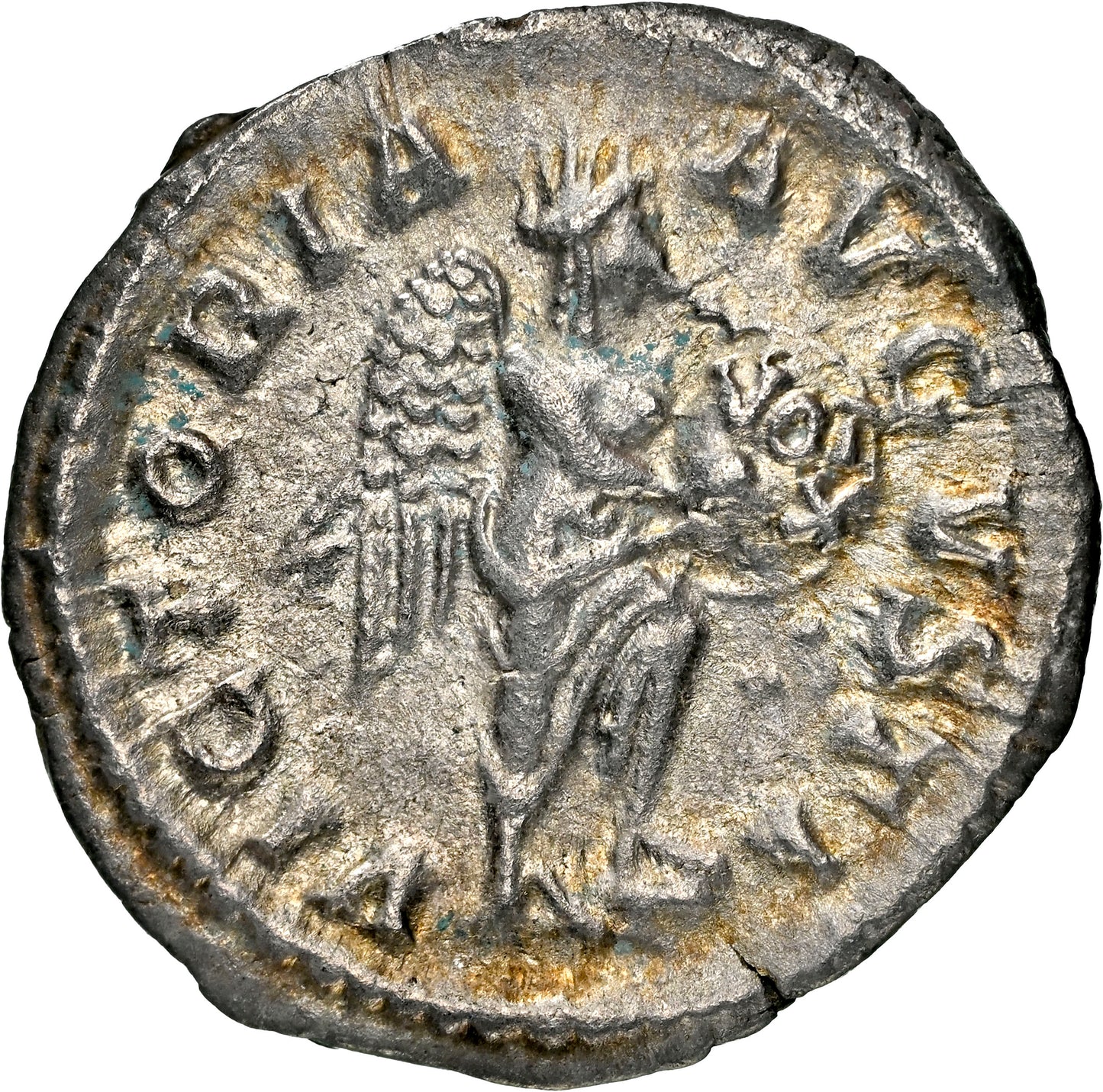 Roman Empire - Severus Alexander - Silver Denarius - NGC XF