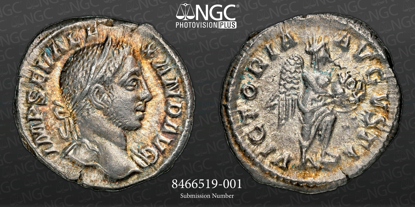Roman Empire - Severus Alexander - Silver Denarius - NGC XF